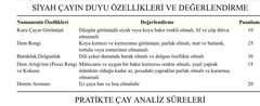  En iyi çay markası hangisi?