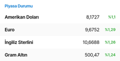 🔥 Dolar 32,21 - Euro 34,68 - Altın 2.435 | 11 NİSAN🔥