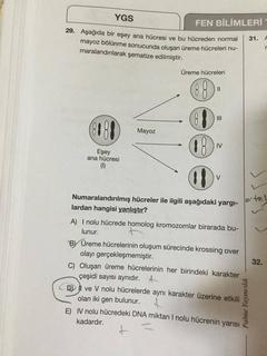  Çözemediğim Biyoloji Soruları