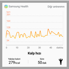 Samsung Gear Fit 2 [ANA KONU]