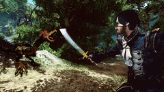  Risen 2 : Dark Waters