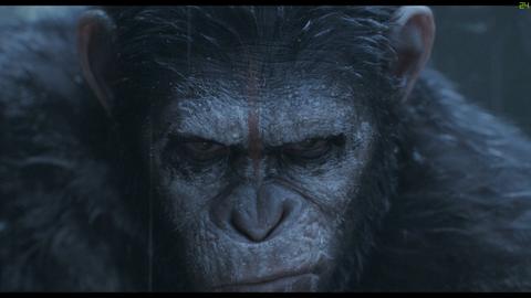 NVIDIA Renk, Parlaklık, Dynamic Range (HDR TV, RGB RANGE, BIT DEPTH)