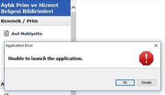 Application Error hatası