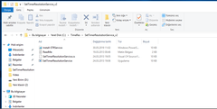 Windows Hizmetler’de (Services.msc) çalışan  Set Timer Resolution Service