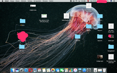  Mac OS thumbnail görünmeme sorunu