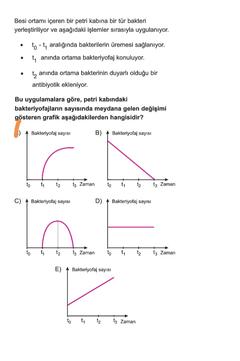 biyoloji bakteri-bakteriyofaj) 1adet soru