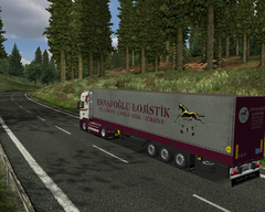  German Truck Simulator ( Çıktı )