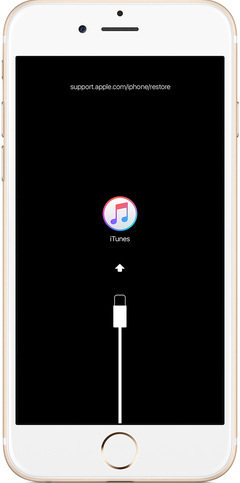  iPhone iTunes (9) ve (14) Hatası ve Çözümü (Ekranı Değiştirenler - Mavi Ekran)