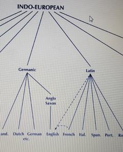 Kapitalizmin iyi yanları, Komünizmin kötü yanları?