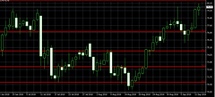 Forex Piyasalrı Denemeleri.