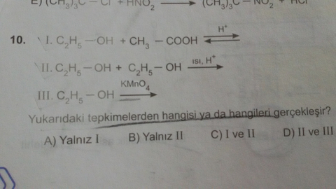 MEB'den organik soruları