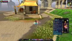 Silkroad Online R Thebes Serverinda 125 Wiz-Bard 14 legend Staff