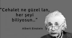 Albert Einstein'ın hayatı dizi oluyor