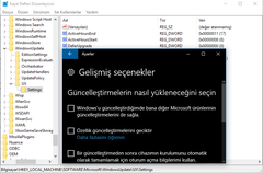 Daha Kararlı Windows 10 Deneyimi İçin SAC Güncelleştirme Kanalını Kullanın / Build: 19041.572