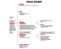 Palu Ailesi