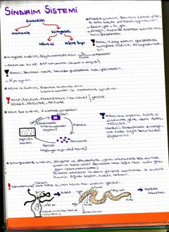  [DERS NOTLARIM]-YILDIZLAR EKLENDİ