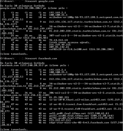 VodafoneNet vs Netspeed (Speed Tracert Ping)