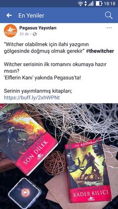 The Witcher Kitap Serisi Ana Konu