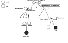  Bu kız ne kadar akrabam oluyor ? [SSLİ SOY AGACI]