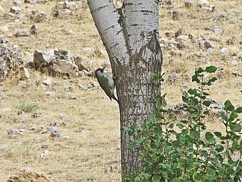AMATÖR fotoğraf çalışmalarım.