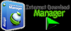 Internet Download Manager - Ömür Boyu Lisans - 1 PC