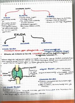  [DERS NOTLARIM]-YILDIZLAR EKLENDİ