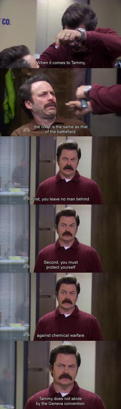  Parks and Recreation (2009-2015)