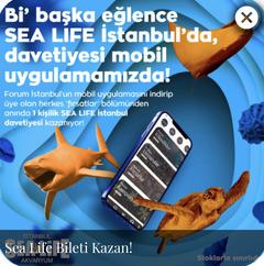 Ücretsiz Sea Life İstanbul Akvaryum Giriş Bileti