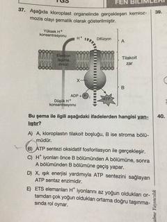  Çok Kazık Biyoloji Sorusu !! (Yardım Arkadaşlar)