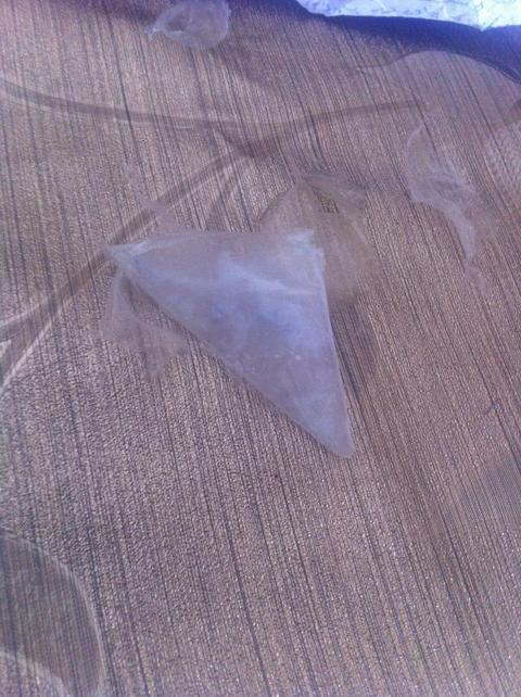 Evde muska gibi bir şey buldum (ss li) EDIT: yeni ss ler geldi