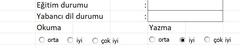EXCEL-Seçenek düğmesi(form denetimi) yardım