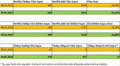 NETFLIX | ANA KONU