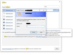  Chrome da kayıtlı şifreleri göremiyorum.