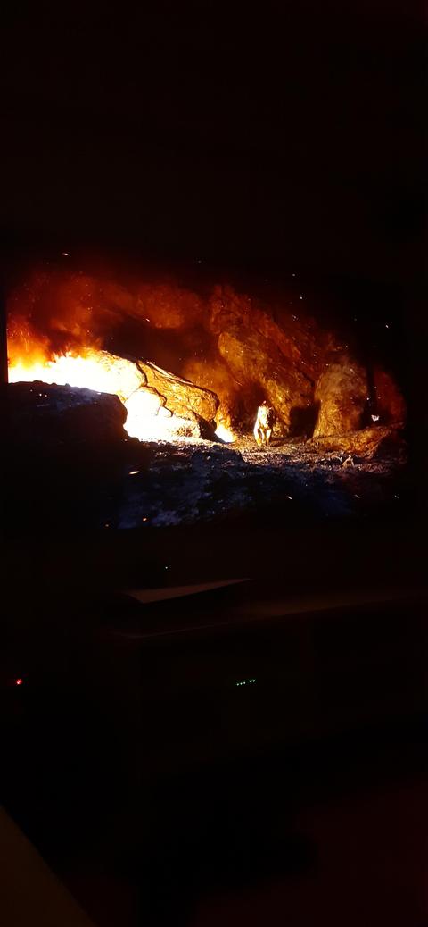 LG OLED Kullanım, Kontrol ve Yardımlaşma Konusu