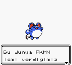 Pokémon Gold ve Silver Türkçe Yama