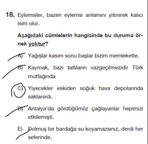 PALME DENEME YAPAMADIĞIM TÜRKÇE SORULARI