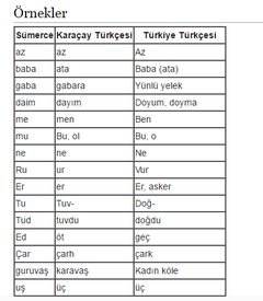 Kızılderili ve Sümerlerin Türk ilişkisi