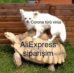 Koronavirüs (Covid-19) [ANA KONU]