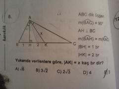  10 TANE DİK ÜÇGEN SORUSU