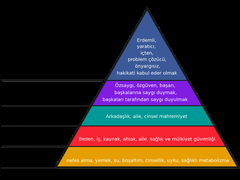 Maslow'un İhtiyaçlar Hiyerarşisi'nde piramidin hangi katmanındasın?