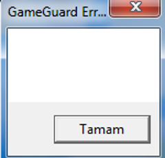  Metin2 Gameguard hatası