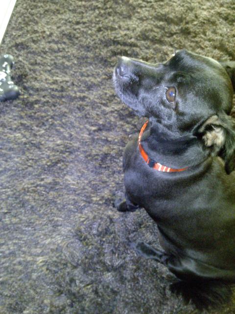 iNew V3 / Quatro F1453 inceleme, root, imei değiştirme, recovery, firmware, custom rom vs..