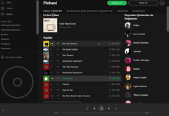 Spotify Bazı Müzikleri Çalmıyor