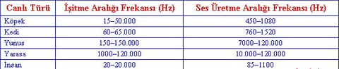 Paranormal Olaylar Gerçek Midir? Vakalar Açıklanabilir Mi?