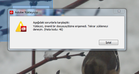 adobe programları yüklenmiyor