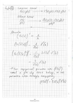  Türev-İntegral mantıgını anlamaya yardımcı 14 sayfalık özel not