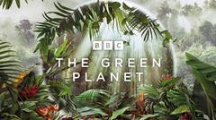 The Green Planet (2022&#8211; ) | BBC