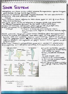  [DERS NOTLARIM]-YILDIZLAR EKLENDİ