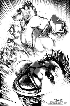 Shingeki No Kyojin (Attack on Titan) manga.Seri tamamlandı.