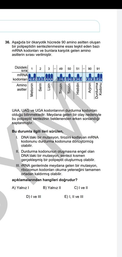2019 ayt protein sentezi sorusu